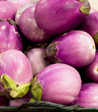 Rosa Bianca Eggplant