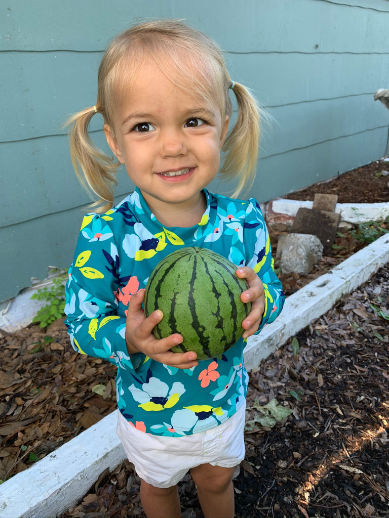 Early Moonbeam Watermelon