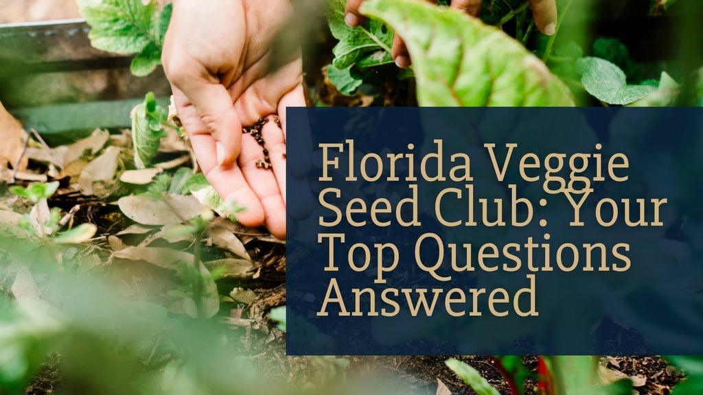 The Florida Veggie Seed Club: Your Top Questions Answered