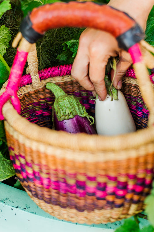 Microhomestead Mini Series Package Deal