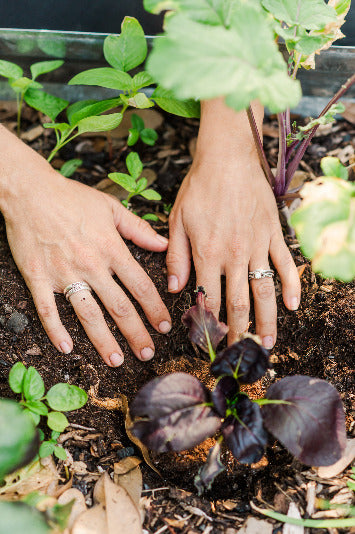 Fall Vegetable Garden Planning