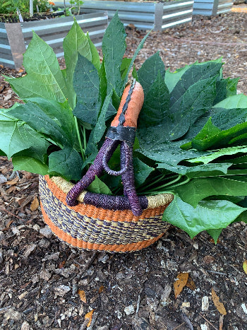 Farm To Table Dinner - Dining with Purpose: Mexican-Inspired Dinner w/ Chaya