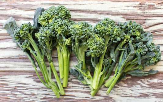Piracicaba Broccoli