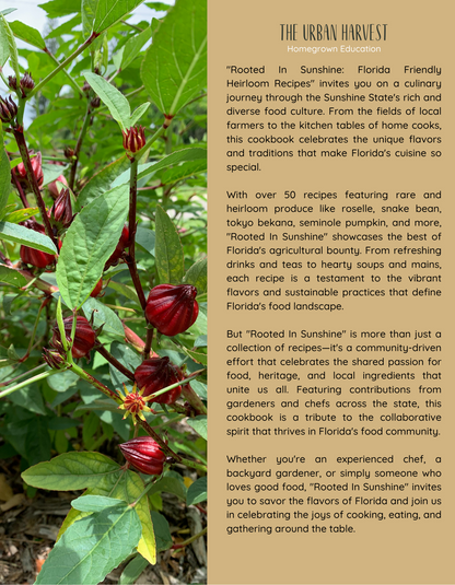 Rooted In Sunshine Cookbook - Physical Copy