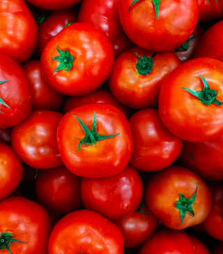 Marglobe Tomato - Live Plant