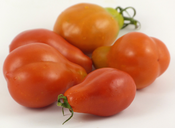 Guajito Tomato