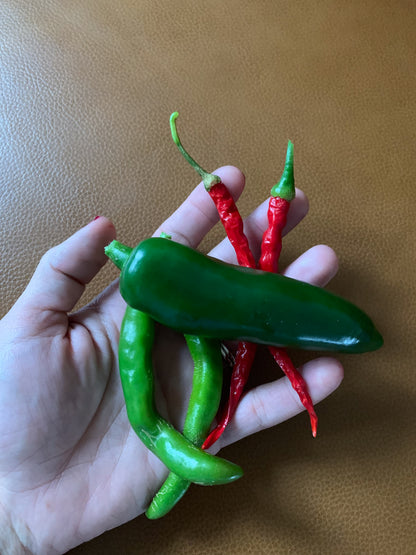 Jalapeno Pepper