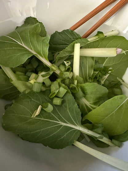 Pak Choi