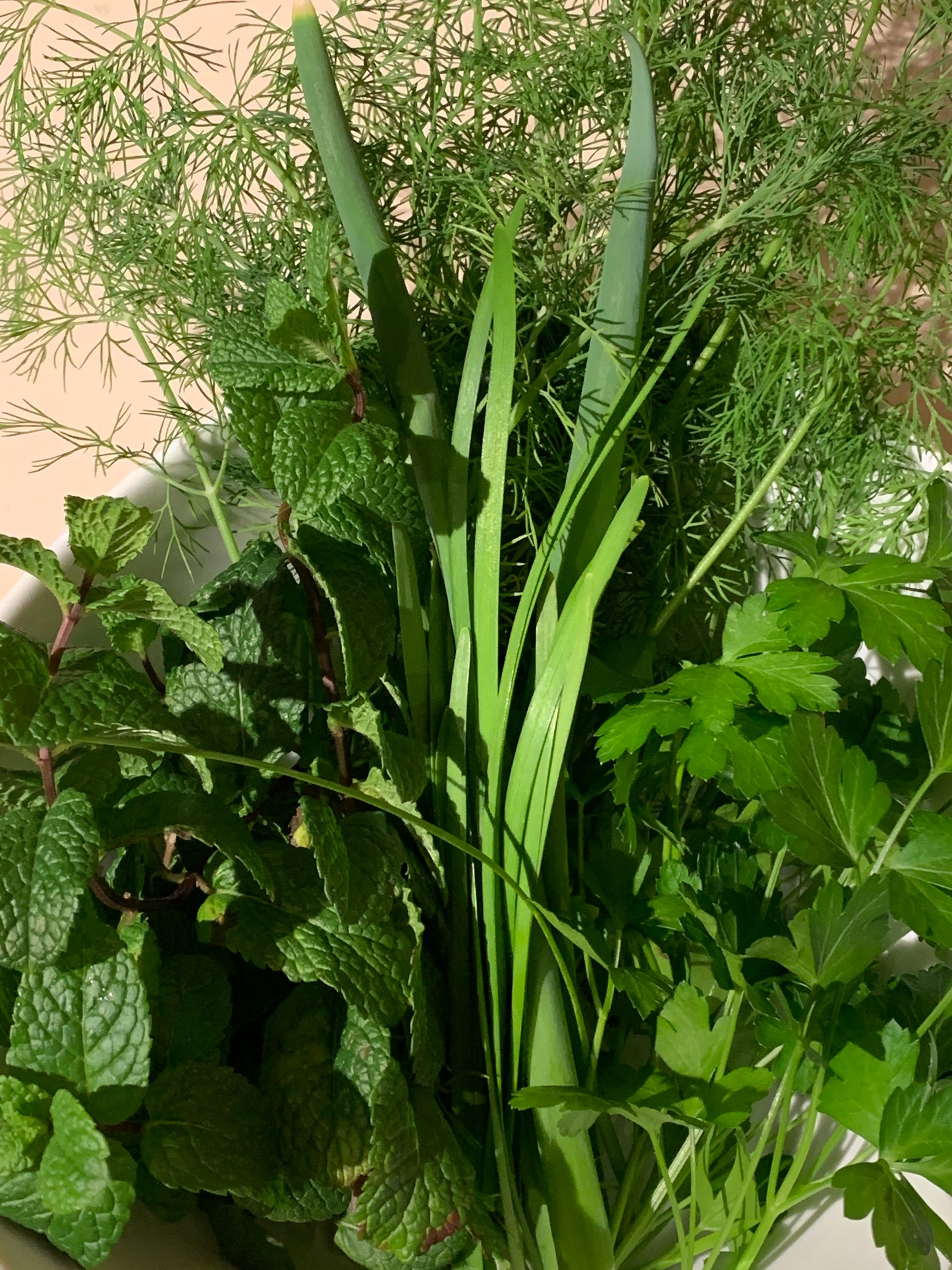 Green Onion