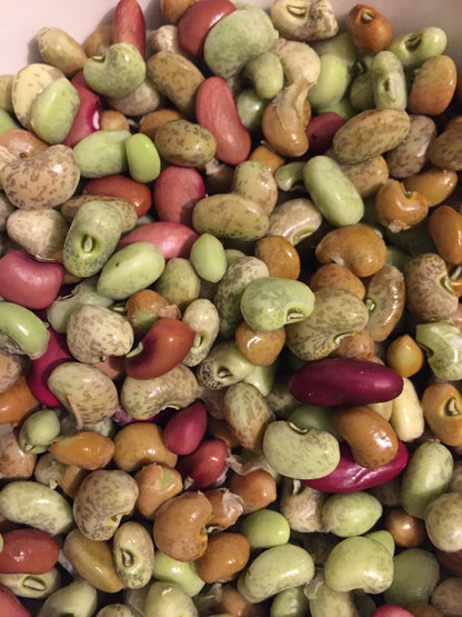 Pinkeye Purplehull Cowpea