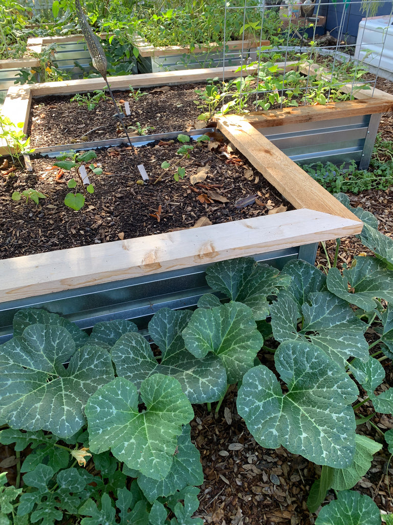 Raised Beds Bundle