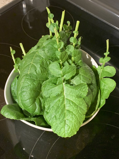 Ethiopian Kale