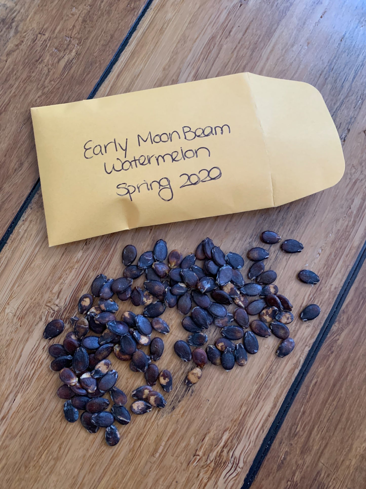 Early Moonbeam Watermelon