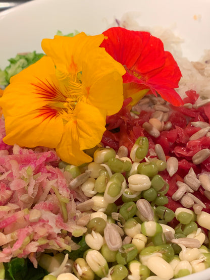 Nasturtium
