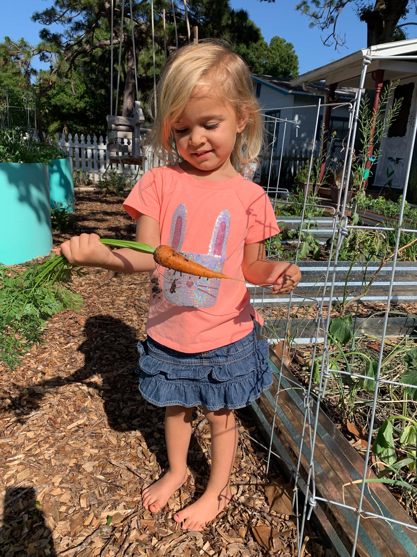 Danvers 126 Carrot