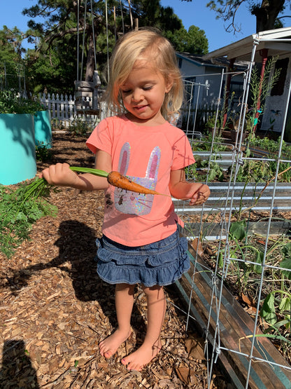 Danvers 126 Carrot