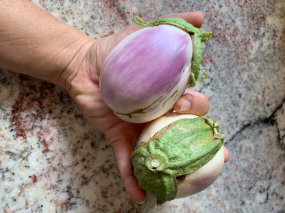 Rosa Bianca Eggplant
