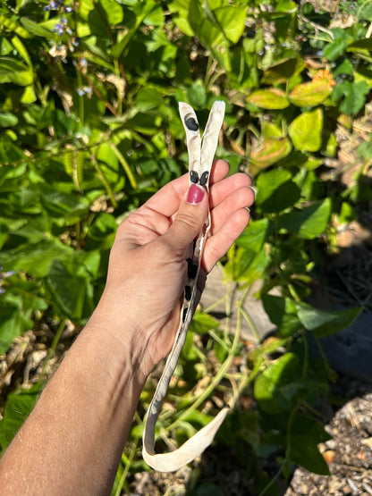 Puerto Rican Black Bean