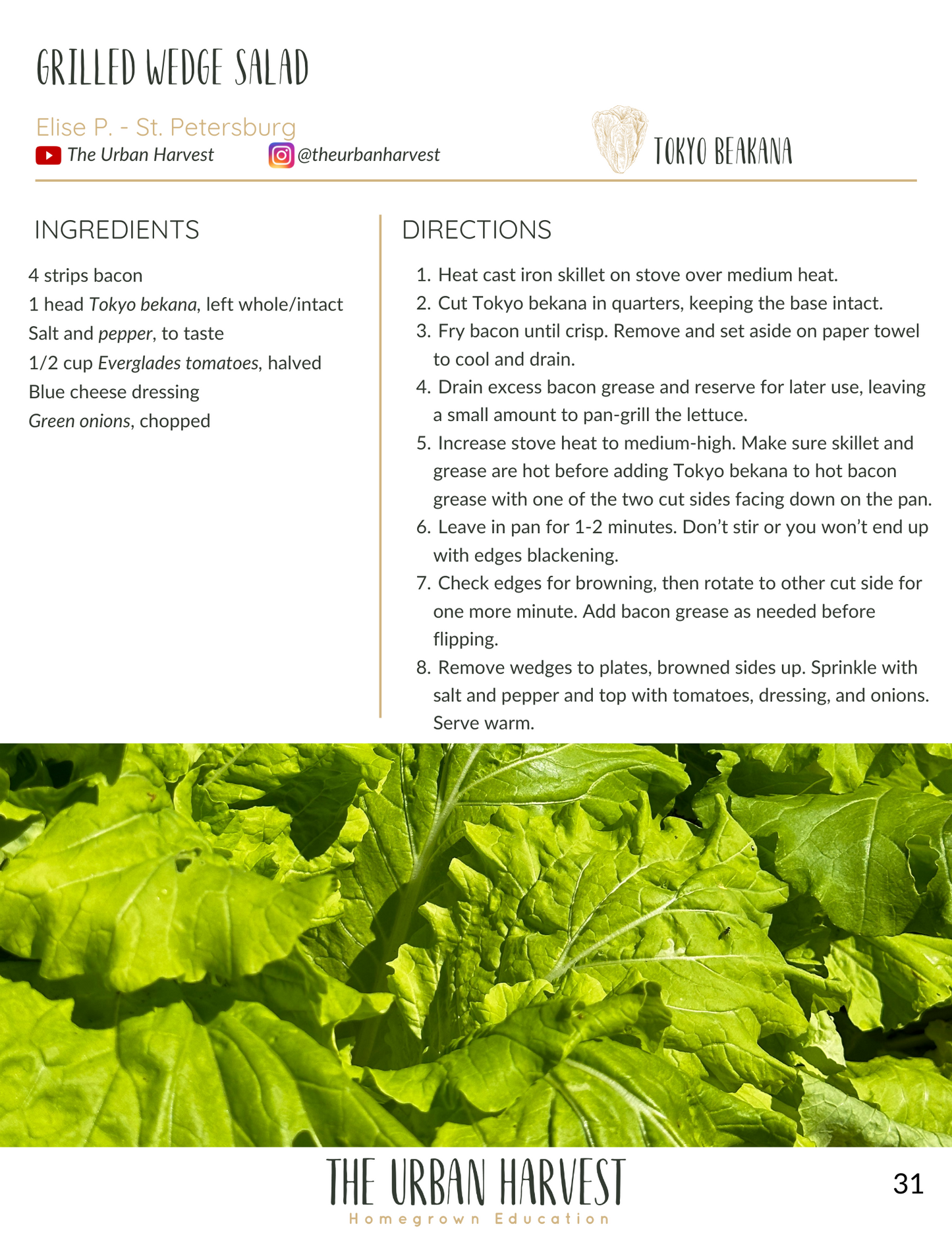 Rooted In Sunshine Cookbook - Digital