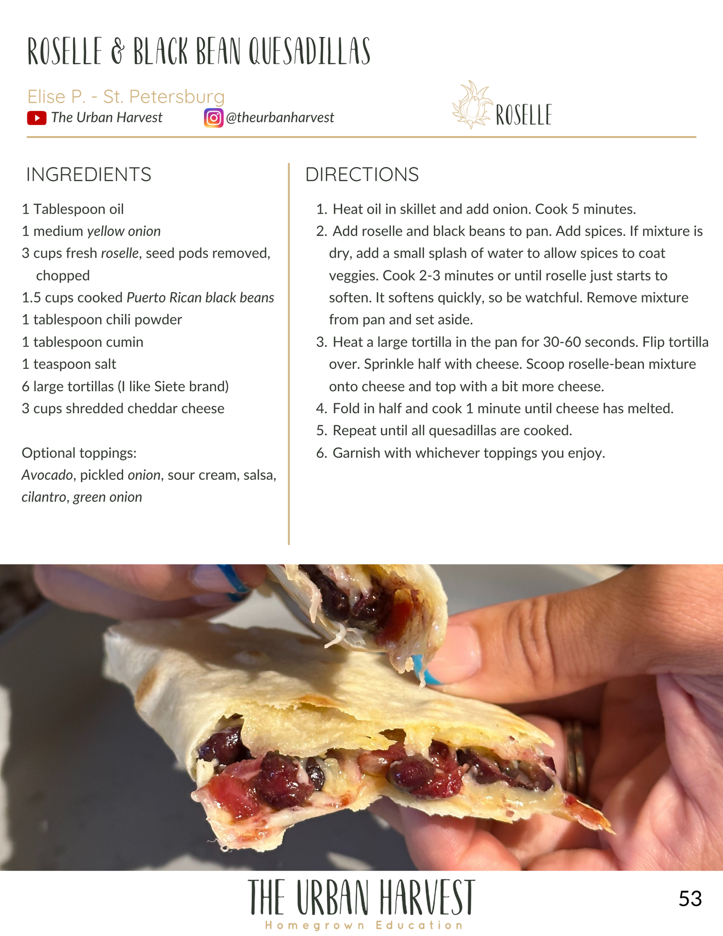 Rooted In Sunshine Cookbook - Digital