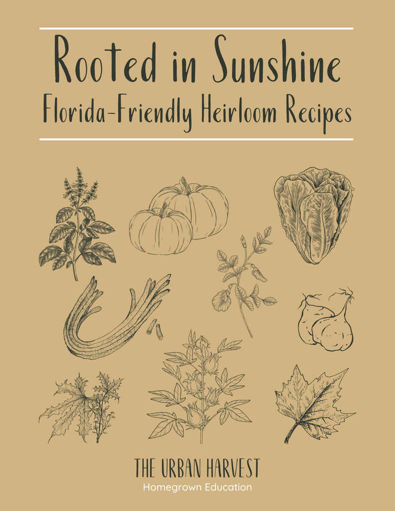 Rooted In Sunshine Cookbook (Hardship) - Digital