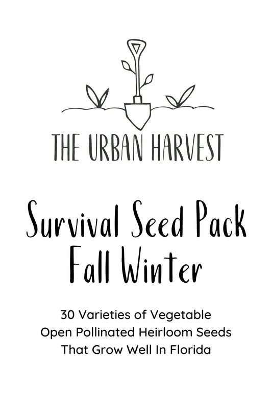 where to buy seeds for fall planting Florida Survival Seed Pack For Fall/Winter – The Urban Harvest