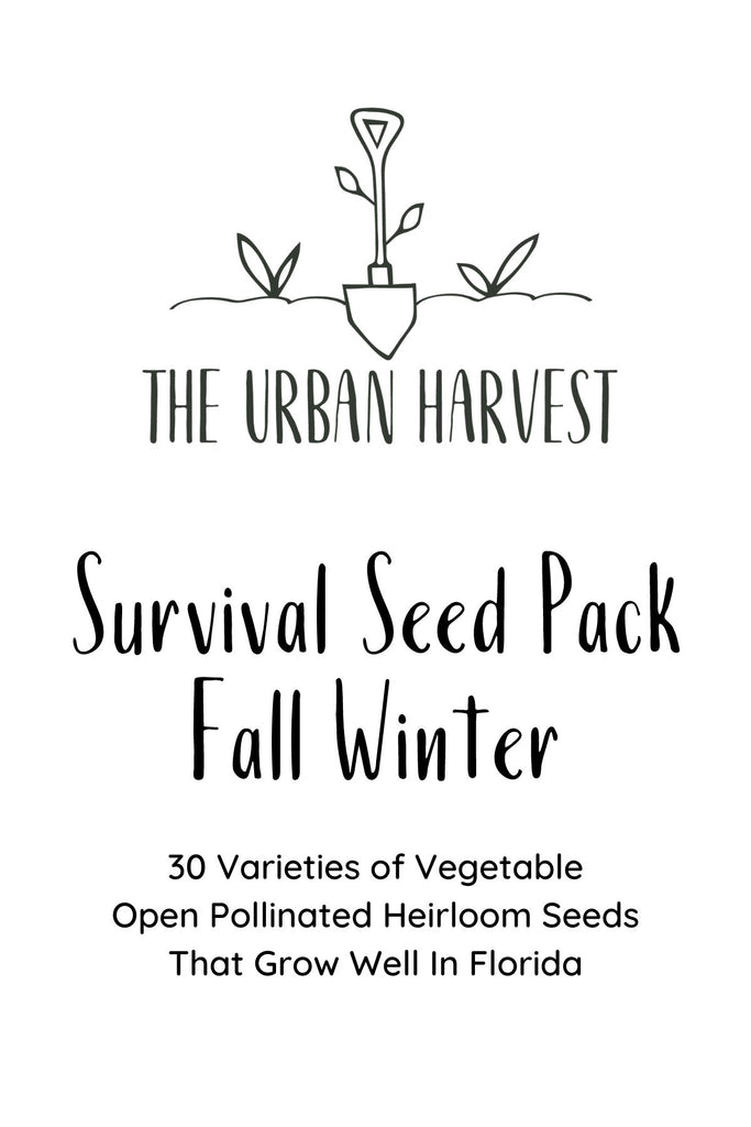 Florida Survival Seed Pack For Fall/Winter