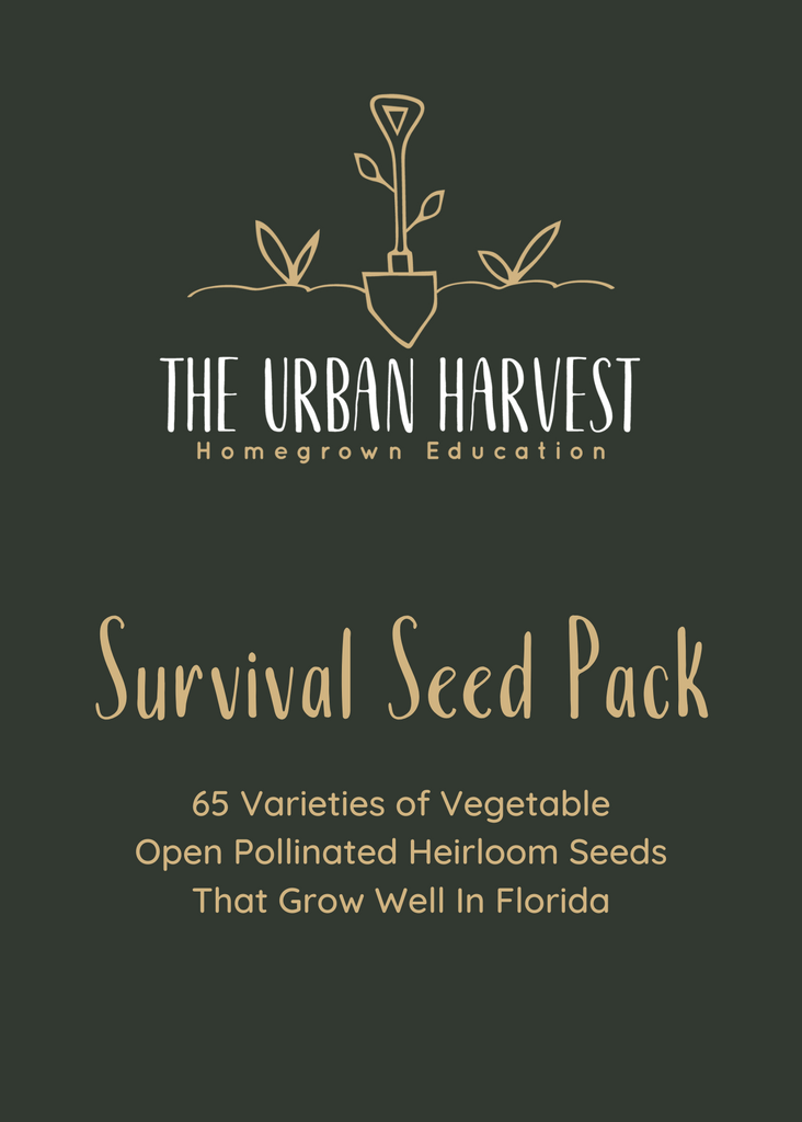 Florida Survival Seed Pack - PREORDER FOR MARCH SHIPMENT