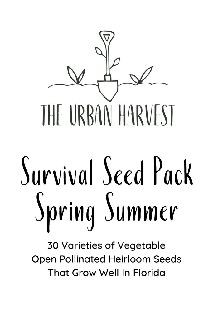 Florida Survival Seed Pack For Spring/Summer