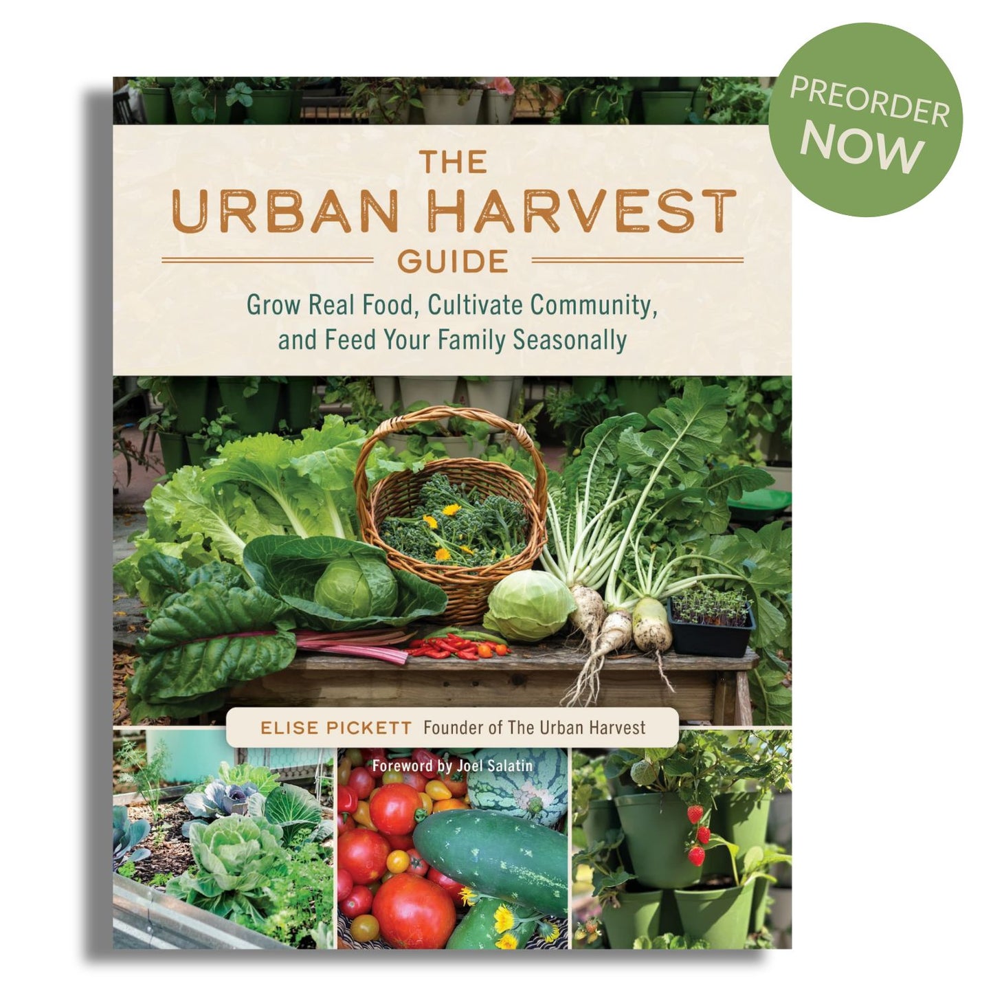 The Urban Harvest Guide