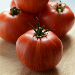 Skyreacher Tomato Large - Live Plant