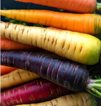 Rainbow Carrot Blend