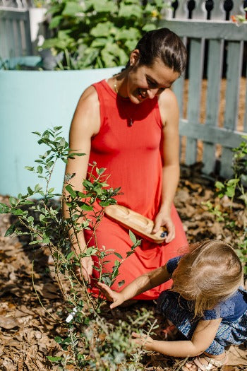 Urban Permaculture Homestead Intensive