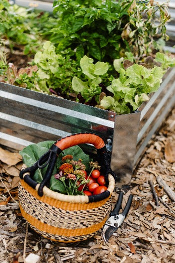 Urban Permaculture Homestead Intensive