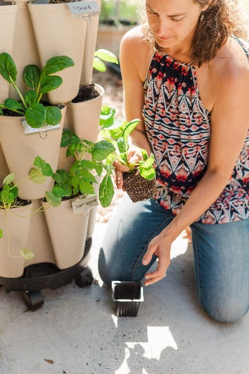 How To Grow Food In Small Spaces