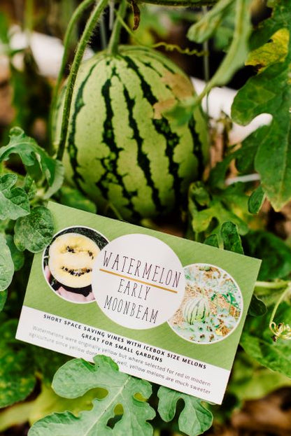 Small Garden & Container Seed Club