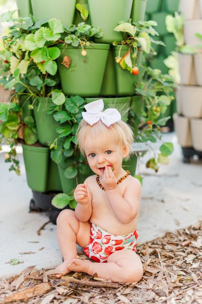 PREORDER Strawberry Runners - Live Plant