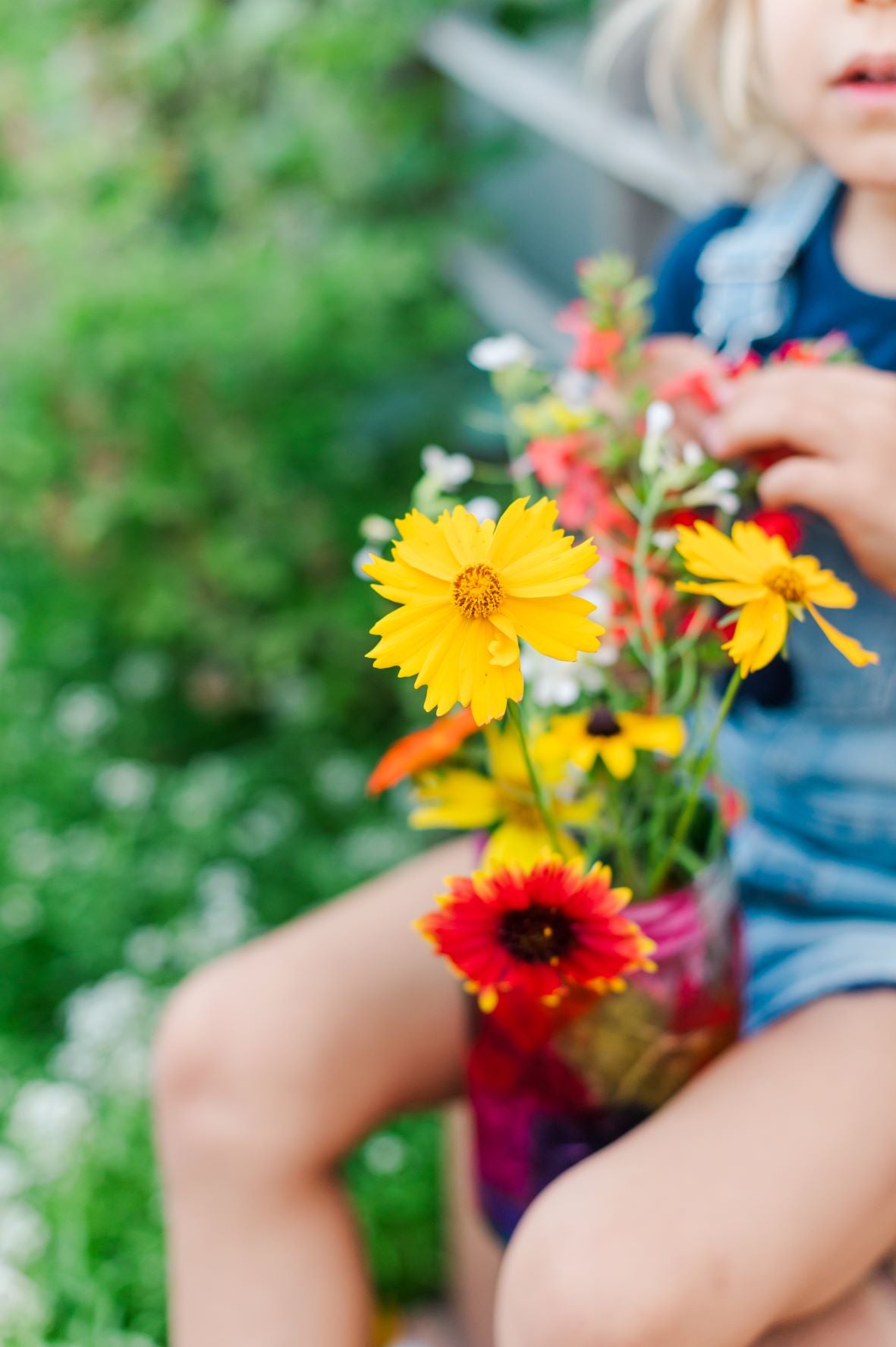 Wildflower Meadow Mix