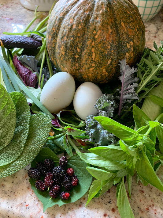 Seminole Pumpkin Squash