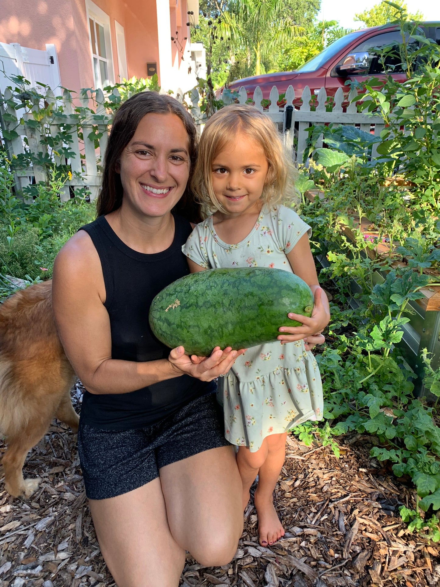 Strawberry Watermelon