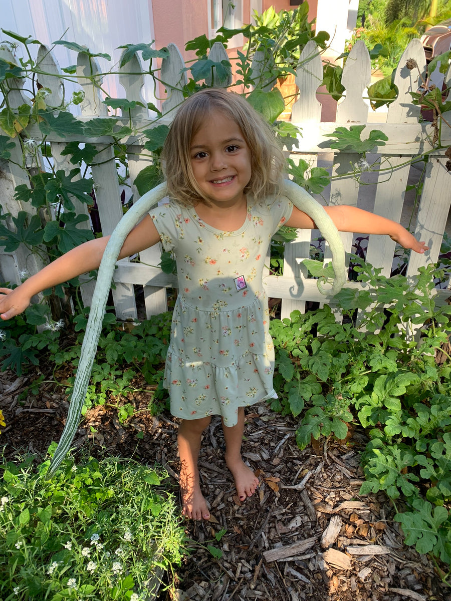 Chinese Python Snake Bean – The Urban Harvest