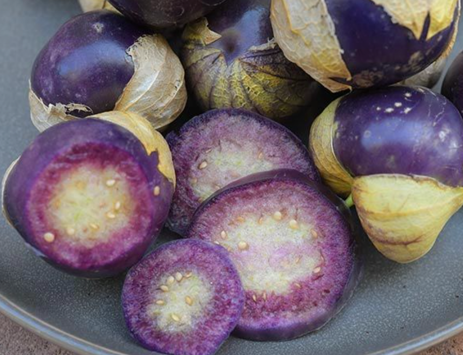 Tomatillo, Purple  - Live Plant