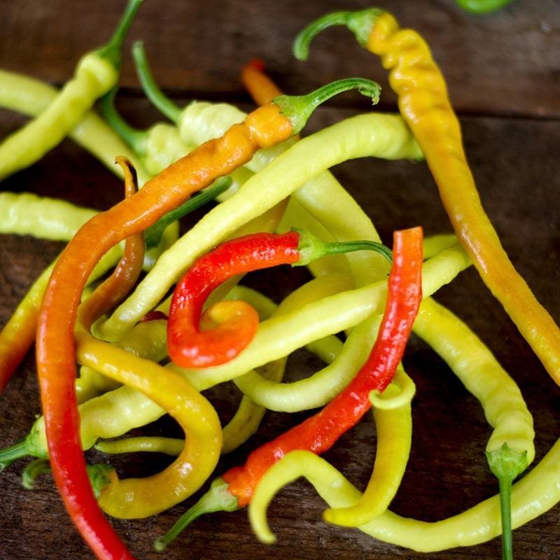 Corbachi Pepper - Live Plant